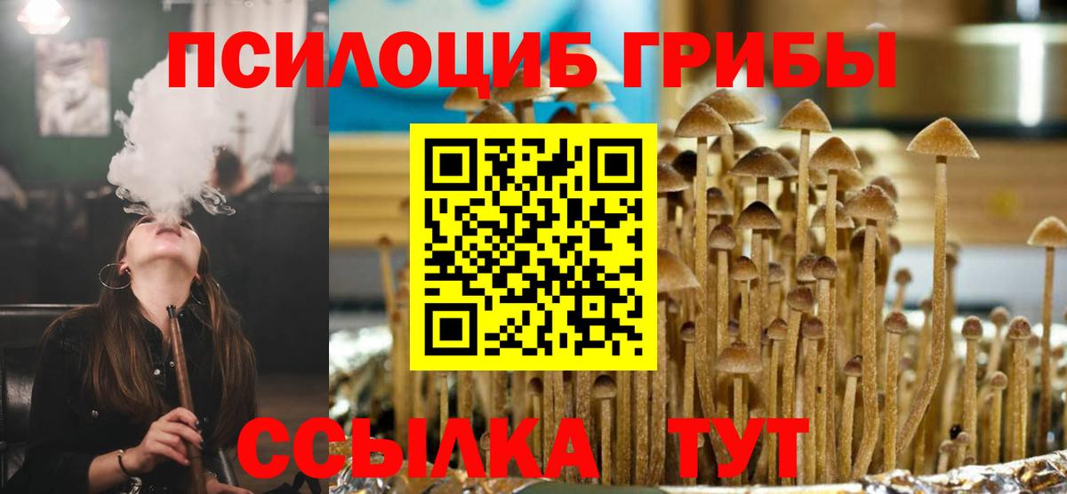 Псилоцибиновые грибы Psilocybe Гусь-Хрустальный