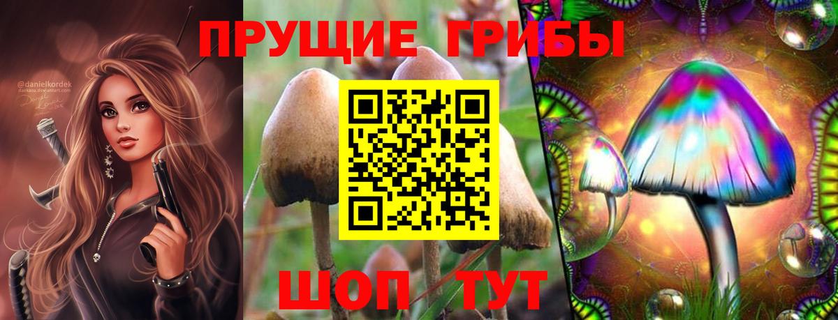 Псилоцибиновые грибы GOLDEN TEACHER  Галлюциногенные грибы Cubensis  Гусь-Хрустальный  Вход с VPN 